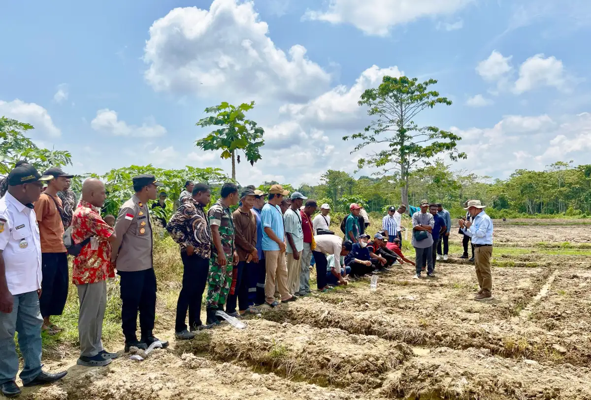 TEP UNDIP Perkuat Kapasitas Petani Woslay lewat penyuluhan lapangan bersama pakar agronomi.